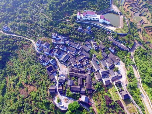 嵊州新昌人常去的免費寶地，如今榮膺國家4A級景區