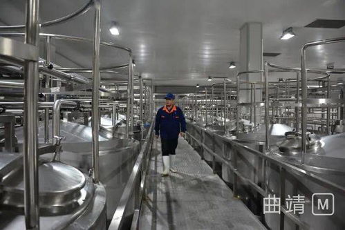 陸良2.8億投資項(xiàng)目順利進(jìn)入試生產(chǎn)階段，區(qū)域經(jīng)濟(jì)迎來(lái)發(fā)展新動(dòng)能